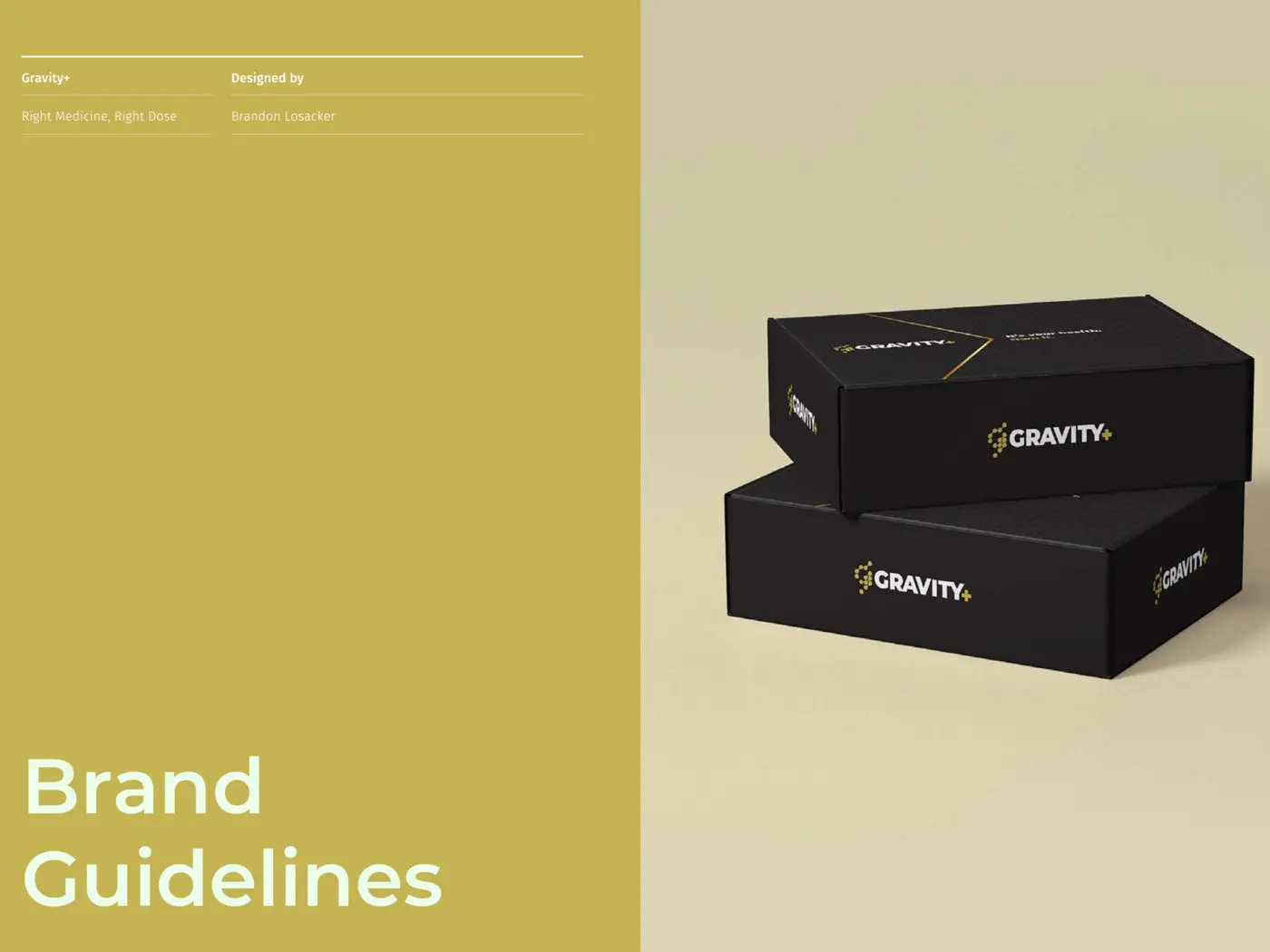 Brand guidelines and identity standards